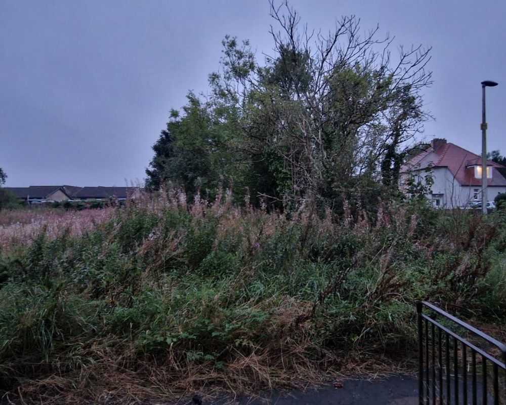 Riddochhill Road 2 1