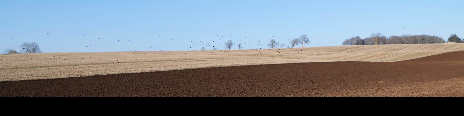 Farm - plowed field