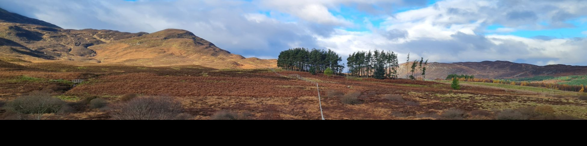 Schiehallion - Perthshire - Braes of Foss