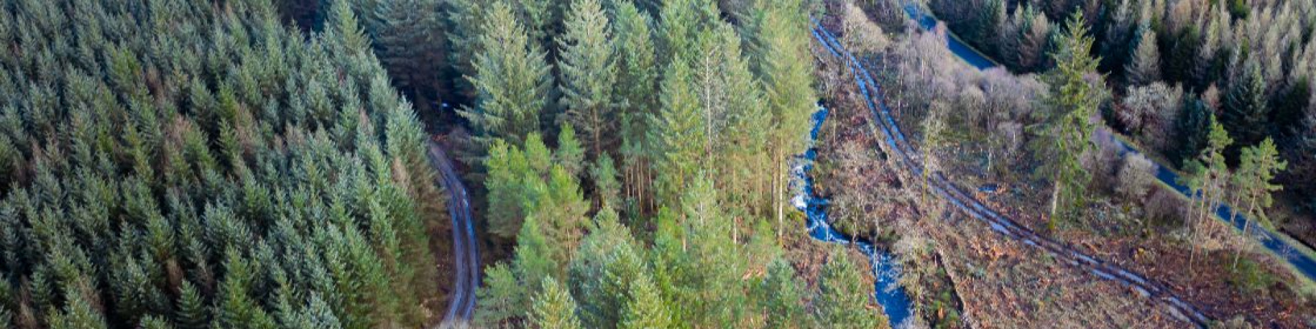Aerial shot of forestry site