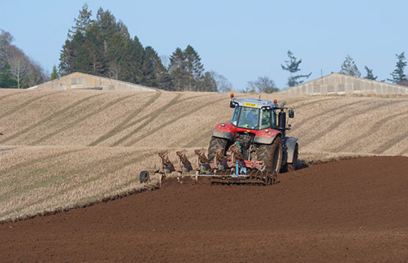 Tenant Farming