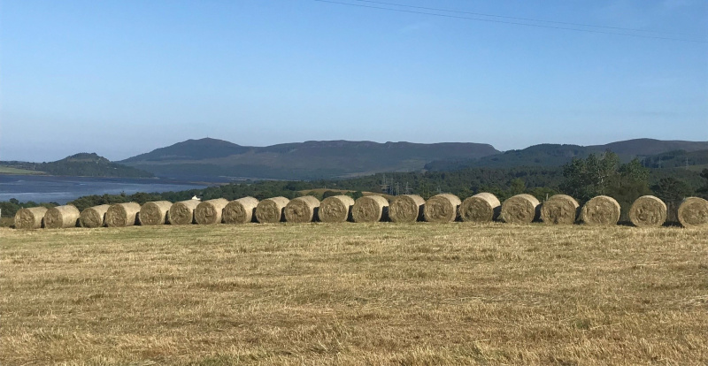 Hay bales lined up in a field near Portmahomack