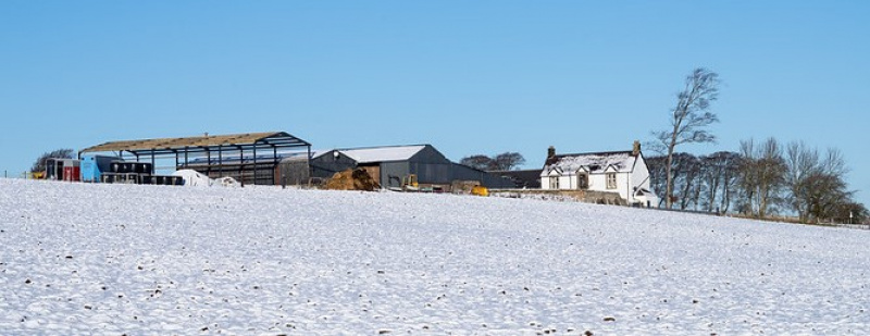 Winter farm landscape in Midlothian.  Photographer: Barrie Williams. Copyright: Scottish Government.