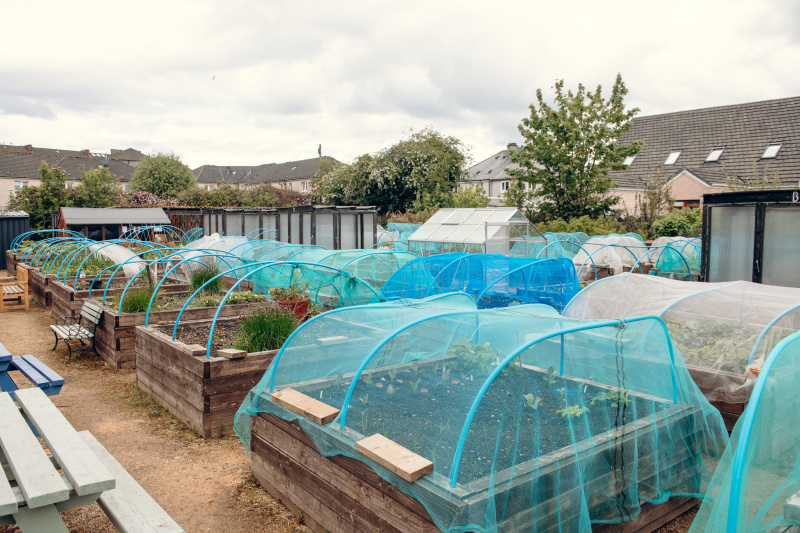 Raised beds in a community garden plot at Shettleston in Glasgow. Credit: Ryan Johnstone.