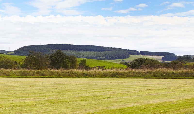 Land on the Applegirth Estate, managed by Crown Estate Scotland. Credit: Crown Estate Scotland.