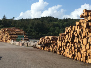 Timber stacked at Eigg Causeway ready for transport away from the island.