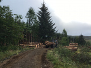 A forestry vehicle at work clearing timber on the Isle of Eigg.