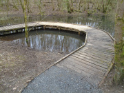 Doune Ponds - Dipping Pond walkway built by DCWG volunteers.