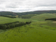 Hillside on Beldorney Estate, Aberdeenshire. Courtesy Highlands Rewilding.