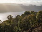 View of tree-covered hillside and loch on the Bunloit Estate, Highlands. Courtesy Highlands Rewilding.