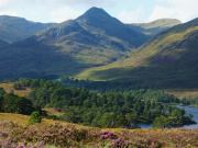 Glen Affric. Credit: Tom Gilpin. Courtesy Trees for Life.