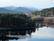 Glen Affric in winter. Credit: Trees for Life.