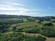 Aerial view of afforested land in Wales owned by Thorlux. Credit: Thorlux.