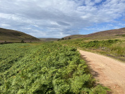 View of Glen Dye